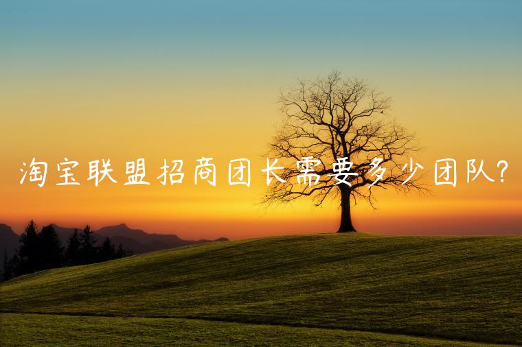 淘寶聯(lián)盟招商團(tuán)長(zhǎng)需要多少團(tuán)隊(duì)?